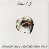 David J - Small Death of a Broken Doll
