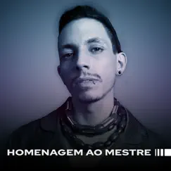 Homenagem Ao Mestre (DJ Mix) by Ruxell album reviews, ratings, credits