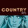 Anita Cochran - (I Wanna Hear) A Cheatin' Song (Re-Mixed Version)