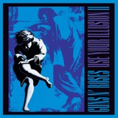 Use Your Illusion II (Deluxe Edition) artwork