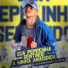 Sua Pepekinha Sentindo a Minha Anaconda - Single album lyrics, reviews, download