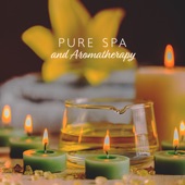 Pure Spa and Aromatherapy (Body and Spirits Wellness) artwork