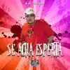 Stream & download Se Acha Esperta - Single