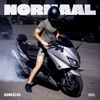 Normaal - Single