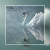 The Two Feathers (Ambient Mix) artwork