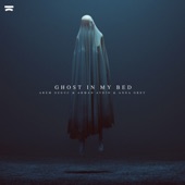 Ghost in My Bed artwork