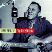 Big Joe Williams - Great Gospel Blues (Right on That Shore)
