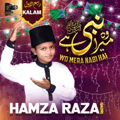 Wo Mera Nabi Hai - Single by Hamza Raza Qadri album reviews, ratings, credits