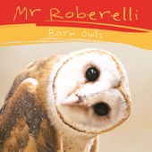 Mr Roberelli - Barn Owls
