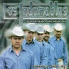 Los Indomables de Huetamo - Apolinar Villanueva