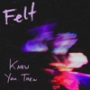 Knew You Then - Single