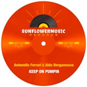 Keep on Pumpin (Antonello Ferrari & Aldo Bergamasco Club Mix) artwork