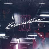 Kalevacation 3 artwork