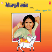 Chinari Samdhiyan Ke Bahiniyan - Phoolan Devi