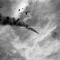 Black Diamond - Half Moon Run lyrics