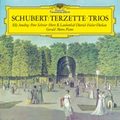 Schubert: Trios artwork