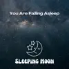 You Are Falling Asleep album lyrics, reviews, download