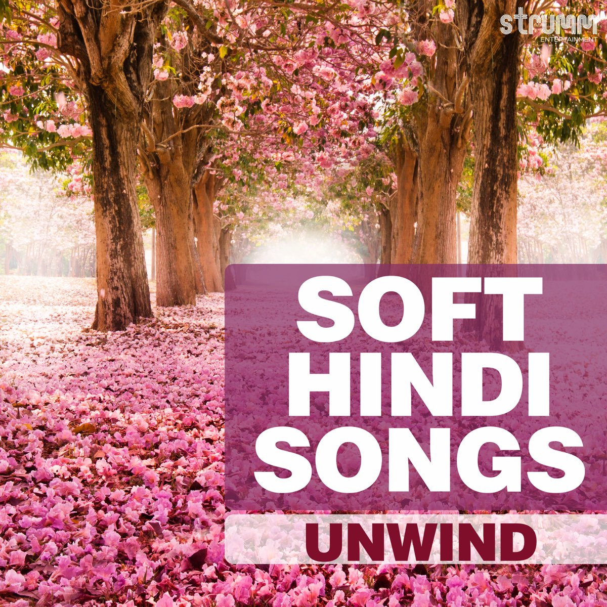 soft-hindi-songs-unwind-by-various-artists-on-apple-music