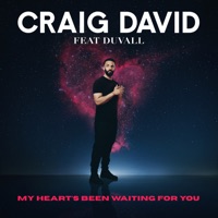Craig David - My Heart's Been Waiting For You