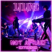 Not Afraid (Extended Version) artwork