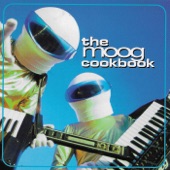 The Moog Cookbook - Free Fallin'