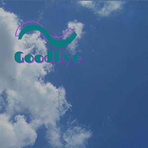 Goodbye - Single