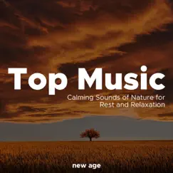 Top Music - Relaxing Music, Calming Sounds of Nature for Rest and Relaxation by Amelia System album reviews, ratings, credits