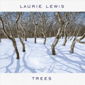 Laurie Lewis - Why'd You Have to Break My Heart? (For J.P.)