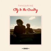 City to the Country artwork