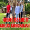 Gruja Komandant - Single