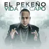 Stream & download Vida De Capo - Single