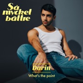 What's The Point artwork
