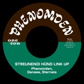 Streunendi Hünd Link up (Remix) artwork