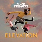 Elevation artwork