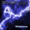 Wildstorm - Single