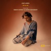 José James - Didn't Cha Know