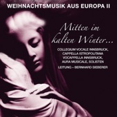 Mitten im kalten Winter - Weihnachtsmusik aus Europa, Vol. II artwork