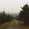 Haulm - Knows No End