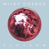 Blossom  cover