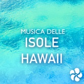 Musica delle Isole Hawaii - Canzoni Tradizionali Polinesiane, Musiche per Festa Hawaiiana artwork