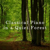 Classical Piano in a Quiet Forest artwork
