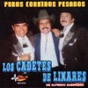 Puros Corridos Pesados