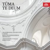 Te Deum: I. Te Deum laudamus. Allegro artwork