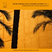 Music for Balance and Relaxation Vol​. 3 artwork