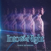 Into the Night artwork