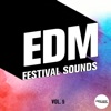 EDM Festival Sounds, Vol. 5