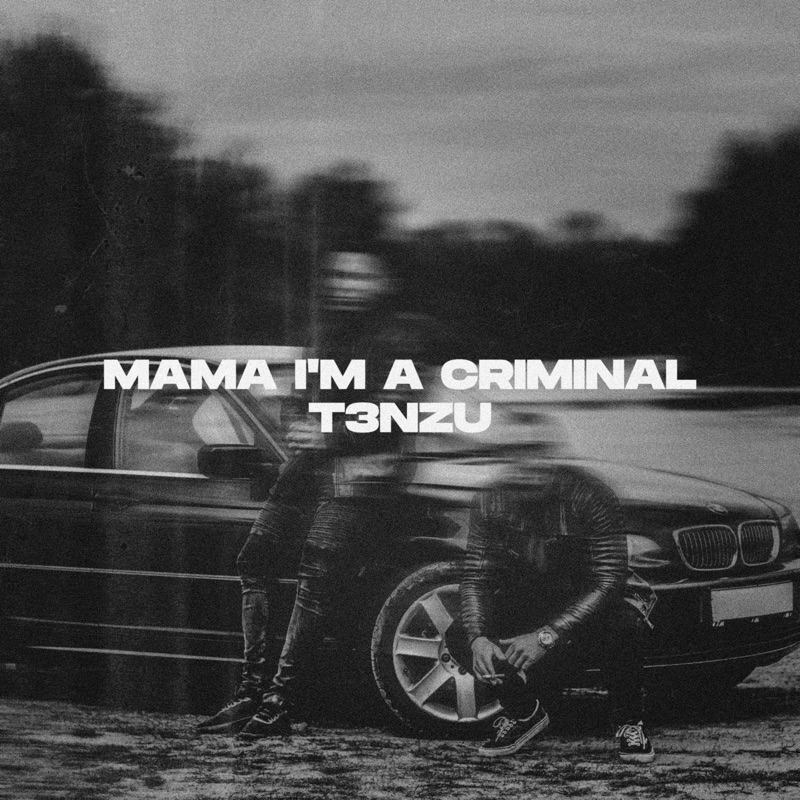 Мама криминал в жизни ремикс