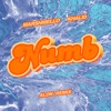 Numb (Alok Remix) - Single