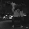 F.O.O.L. - Single album lyrics, reviews, download