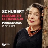 Schubert: Piano Sonatas, D. 784 & 894 artwork